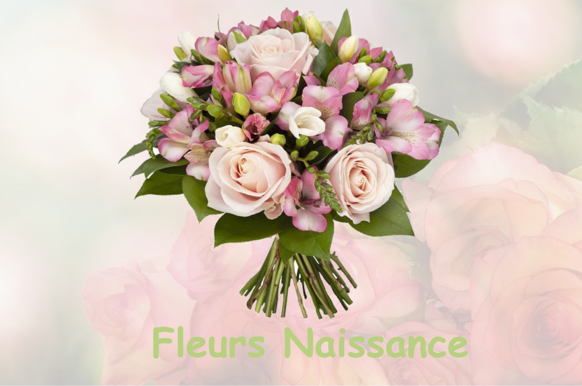 fleurs naissance MERINVILLE