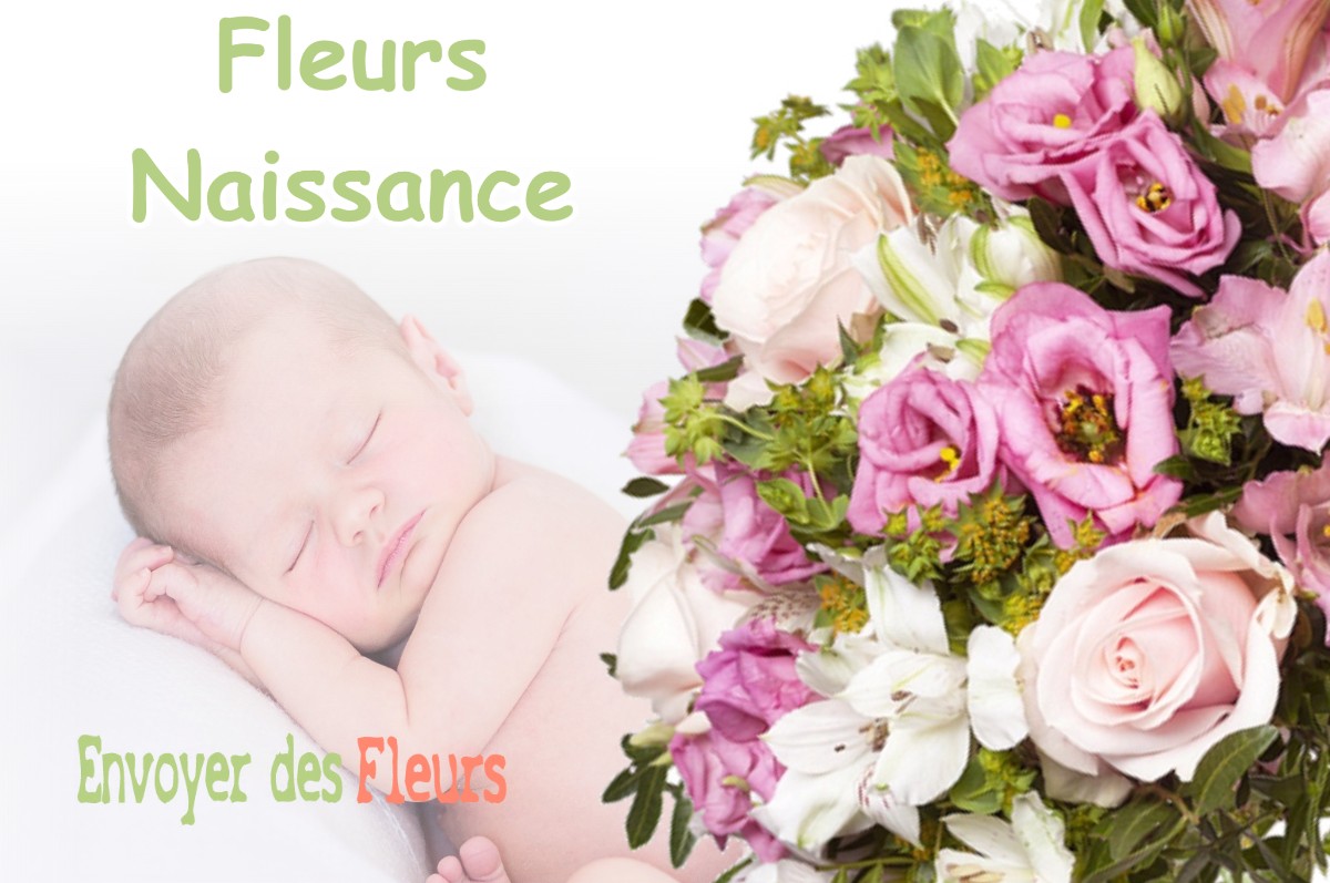 lIVRAISON FLEURS NAISSANCE à MERINVILLE